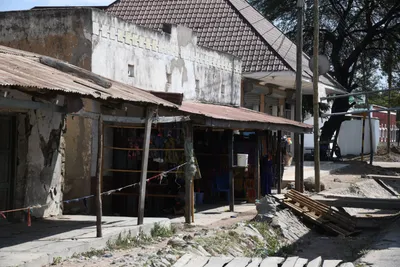 DSC_2643 (Large).JPG